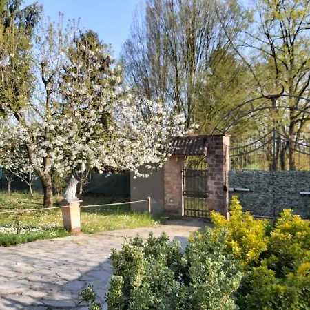 Yetişkin Oteli Il Loft *